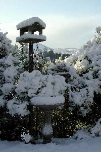 JPEG: Snow-covered bird table and bath