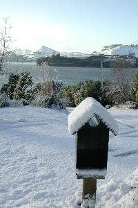JPEG: Snow-covered letterbox with Otago Harbour