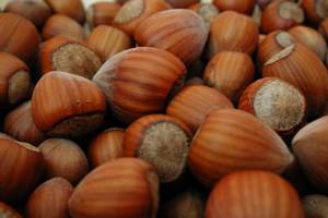 JPEG: Hazelnuts